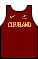 Uniforme de baloncesto