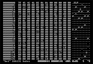 bvi hex editor