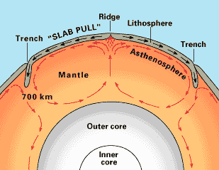 Okeanska kora nastaje na srednjeokeanskim grebenima, doke je litosfera subducirana natrag u astenosferu u okeanskim jarcima