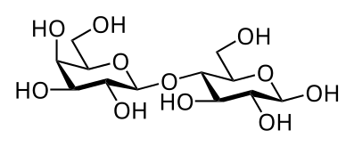 Lactose. Gal(β1→4)Glc