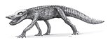 Restoration de Anatosuchus por Todd Marshall, 2009