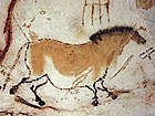 Lascaux, konj