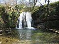 Janet's Foss, near Malham