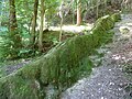 Steinerne Rinne bei Wackersberg, Bad Tölz, Oberbayern