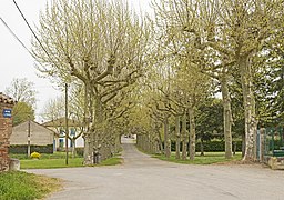 Avenue du Ramier.