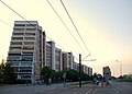 Tarasowiec: Terrassenhochhaus w Rostocku. Możliwość tworzenia ściany zieleni na budynku, a także sadzenia drzew na tarasach.