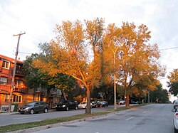 Langelier Boulevard in Longue-Pointe