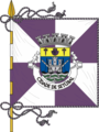 Vlag van Setúbal