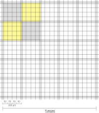 Gruppenquadrate der Neubauer improved