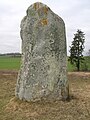 Menhir