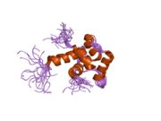 2a4j: Solution structure of the C-terminal domain (T94-Y172) of the human centrin 2 in complex with a 17 residues peptide (P1-XPC) from xeroderma pigmentosum group C protein