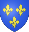 Brasão de armas de Bourg