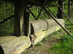 Ausgehöhlter Baum­stamm, einst im Floß­teich­damm zum kontrollierten Wasser­ablauf, Aushöhlung durch den Zapfen verdeckt.