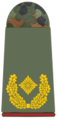 Nemčija: Brigadegeneral