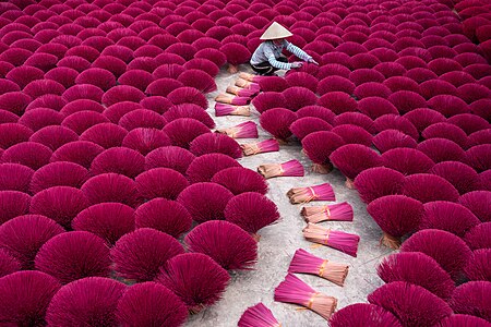 1. Platz mit 514 Stimmen „A farmer packs incense sticks in Quang Phu Cau, Vietnam.“ von Vietsui / CC-BY-SA 4.0