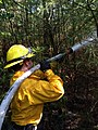 Image 3Wildland firefighter working a brush fire in Hopkinton, New Hampshire, US (from Wildfire)