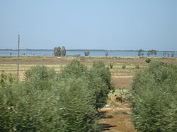 Lesina-tó