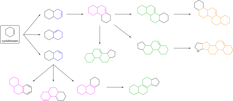 Overzicht van de hiërarchische ordening van natuurproducten naar hun chemische structuur, gebaseerd op het cyclohexeensysteem als voorbeeldbasisstructuur. De gemeenschappelijke structurele fragmenten uit de vorige generatie zijn in een kleur aangeduid om de verwantschappen duidelijk te maken.