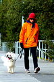 Image 7Walking a dog (from Dog)