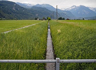 Der Hauptkanal Aarboden