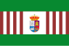 Bandeira de Salvacañete