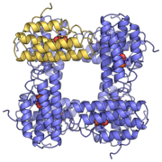 Hemerythrin PDB: 1HMO​