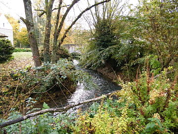 L'Authie, au niveau du vieux moulin.