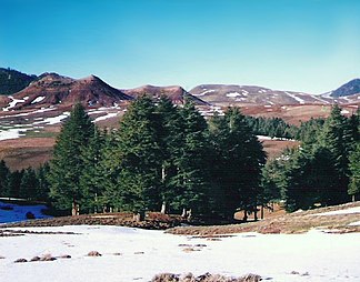 Landschaft in der Provinz Khénifra