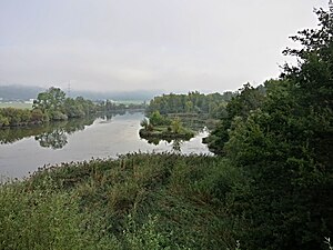 Naturschutzgebiet Alte Aare (Safnern)