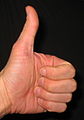 Roguegeek You get a "thumbs up" personal user award from me due to your contributions to motorcycle related article here on Wikipedia! -Roguegeek 18:58, 3 September 2006 (UTC)