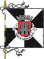 Vlag van Castelo Branco