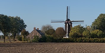 Someren, windmill: standerdmolen Den Evert