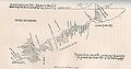 Image 9Map of North America by Vesconte Maggiolo after an earlier map made on the Verrazzano expedition of 1524. The narrow isthmus of land separating "Tera Florida" from "Francesca" is the Outer Banks of North Carolina. Cape Fear is labeled "C. de la Forest". (from History of North Carolina)