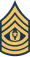 Command Sergeant Major