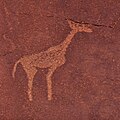 San bergkunst fra Twyfelfontein Namibia