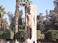 Estatua de Ramsés II no museo ao aire libre.