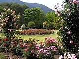 兵庫県立播磨中央公園