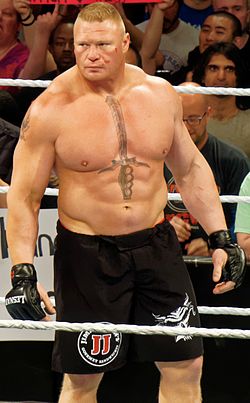 Brock Lesnar 2015-ben