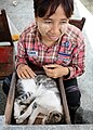 Image 21A cat sleeping in a shopkeeper's money drawer in Myanmar (from Cat)