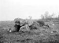 Dolmen