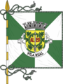 Vlag van Vila Real