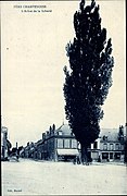 L'arbre de la liberté