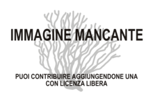 Immagine di Microzoanthus mancante