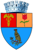 Blason de Pitești