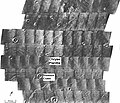 Scour patterns located in Lunae Palus quadrangle