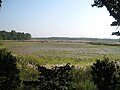 Ranitaal un lac à l'intérieur de la réserve