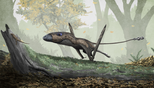 Restauración de Dimorphodon por Mark P. Witton, 2015