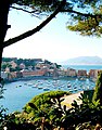 Sestri Levante