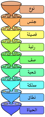 متسويات التصنيف الحيوي.