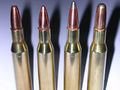 Munizioni .270 Winchester